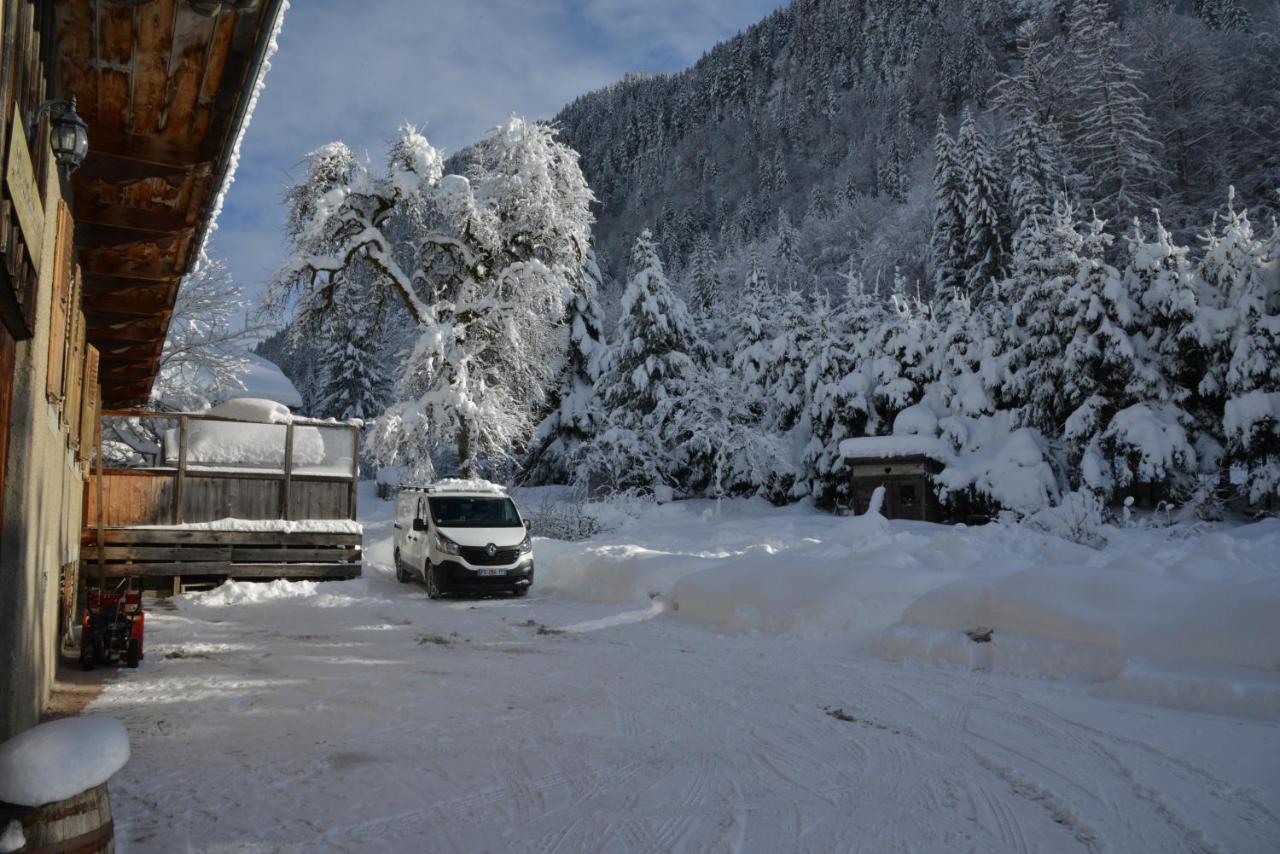Appartement Dans Chalet 5 Chambres 130 M2 Centre Village Montriond Buitenkant foto